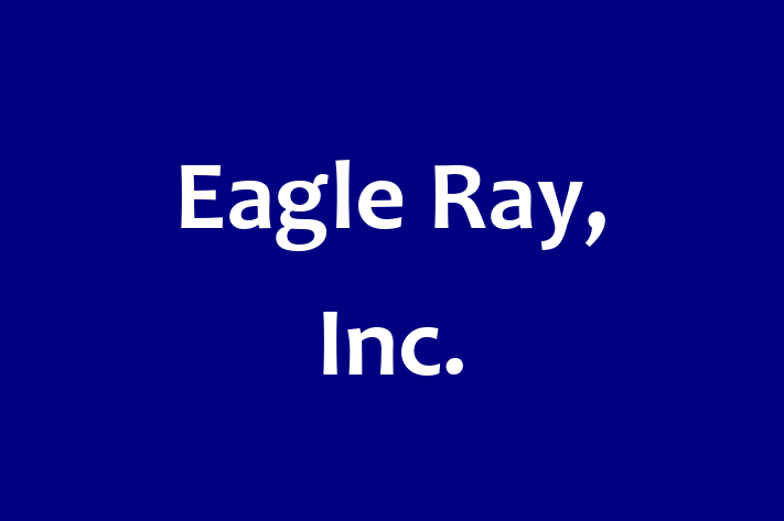 IT Company Eagle Ray Inc.