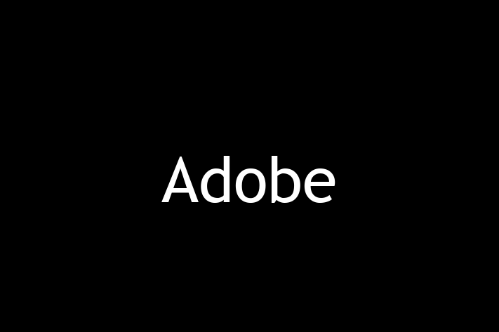 Software Engineering Company Adobe