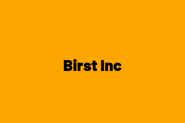 Software Services Company Birst Inc