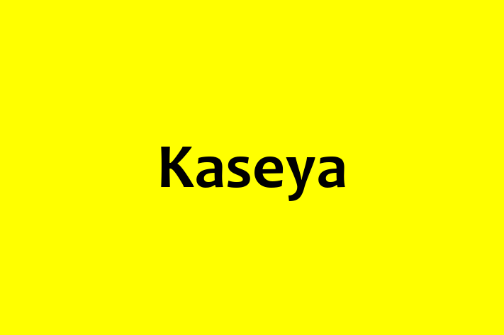 Technology Company Kaseya