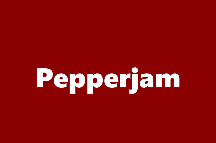 IT Company Pepperjam