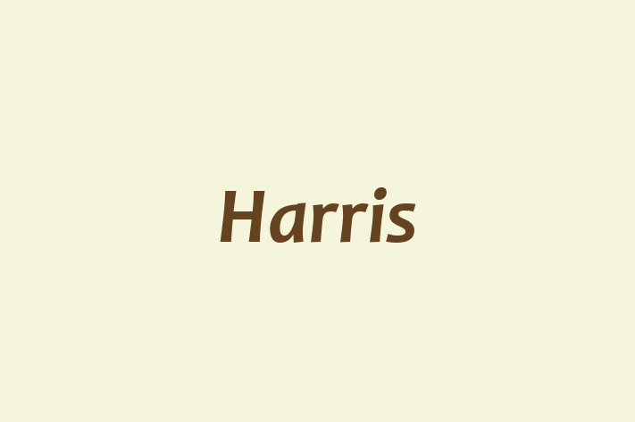 Labor Relations Harris