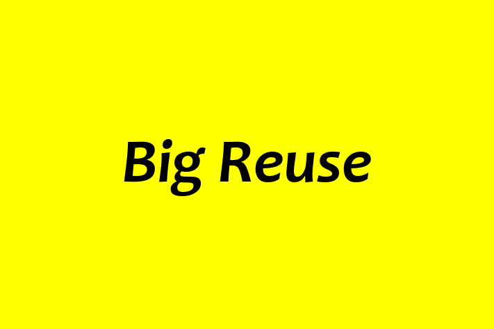 Labor Relations Big Reuse