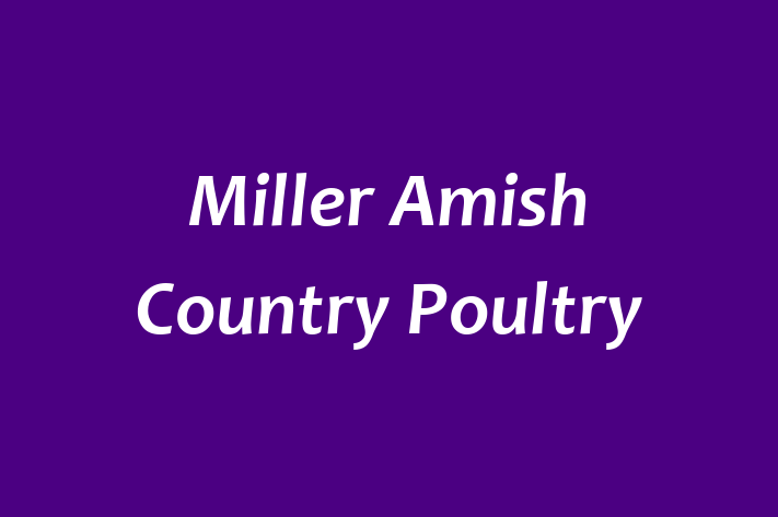 Human Capital Management Miller Amish Country Poultry