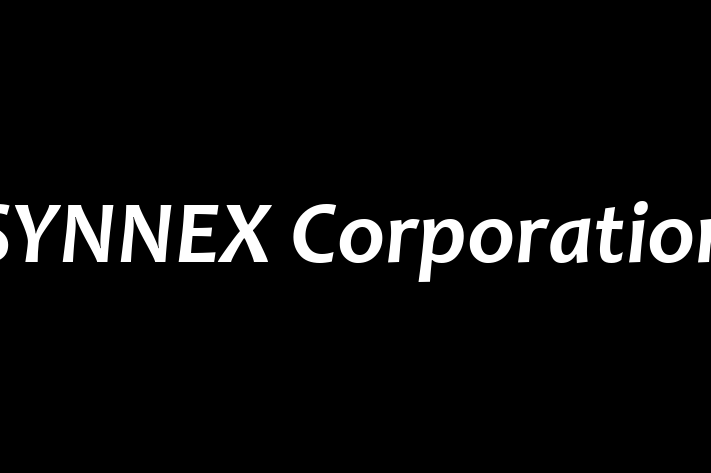 Digital Solutions Provider SYNNEX Corporation