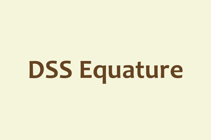 Application Development Company DSS Equature