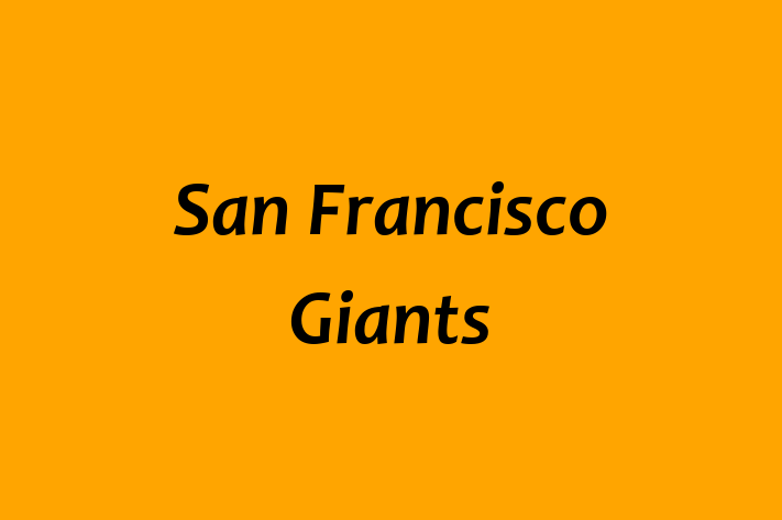 Workforce Management San Francisco Giants