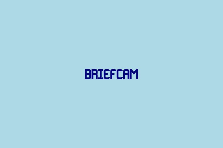 Software Consultancy BriefCam