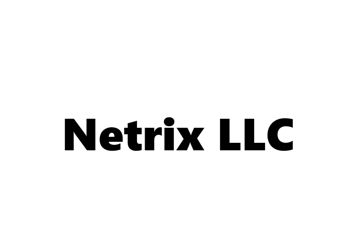 Software Engineering Company Netrix LLC