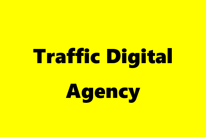 IT Company Traffic Digital Agency