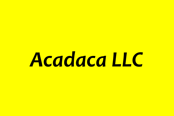 Digital Solutions Provider Acadaca LLC