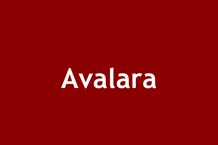 Technology Solutions Firm Avalara