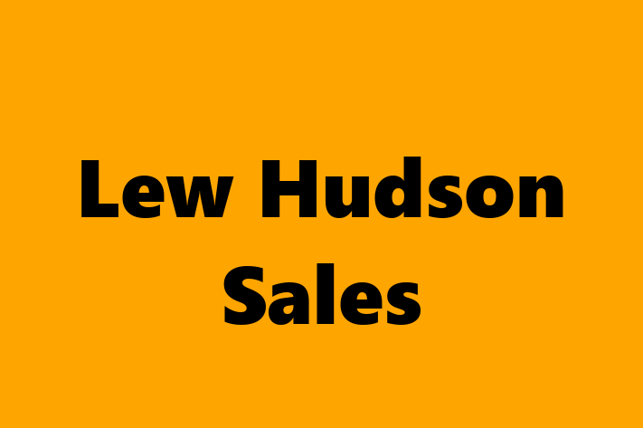 Technology Solutions Firm Lew Hudson Sales