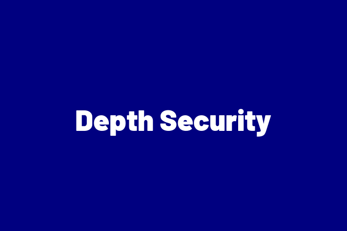 Software Consultancy Depth Security