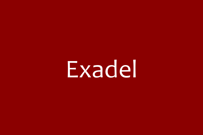 Software Solutions Provider Exadel