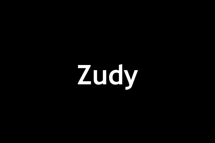 People Management Zudy