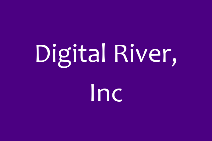 Technology Solutions Firm Digital River Inc