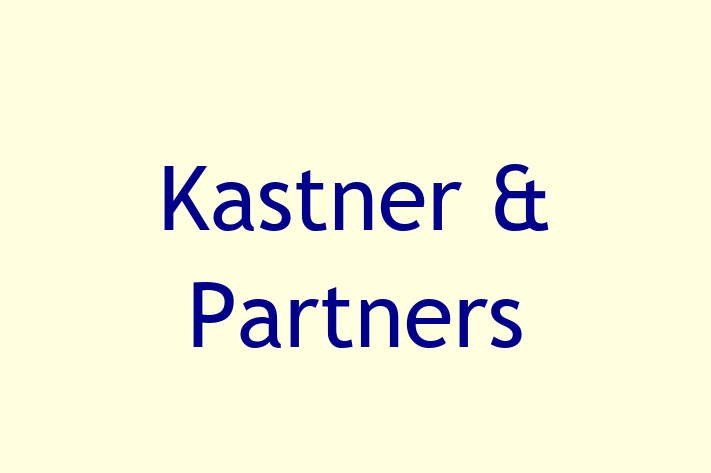 Software Development Firm Kastner  Partners