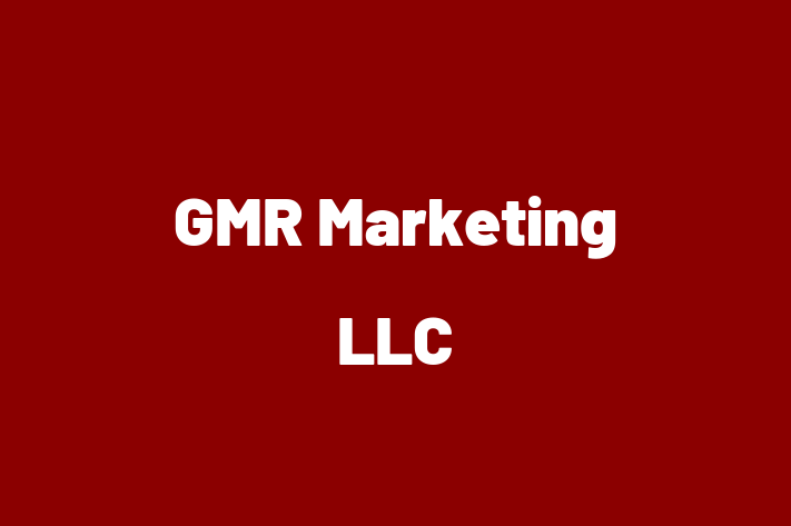 Software Solutions Provider GMR Marketing LLC