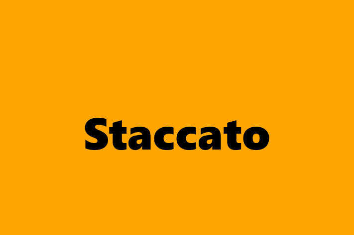 Talent Management Staccato