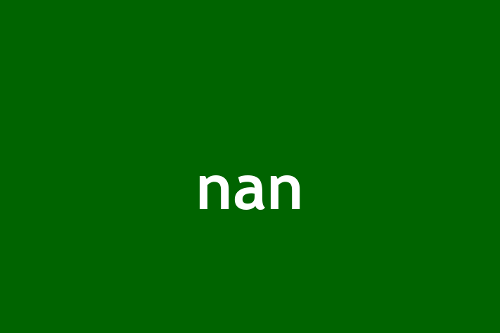 Workforce Management nan