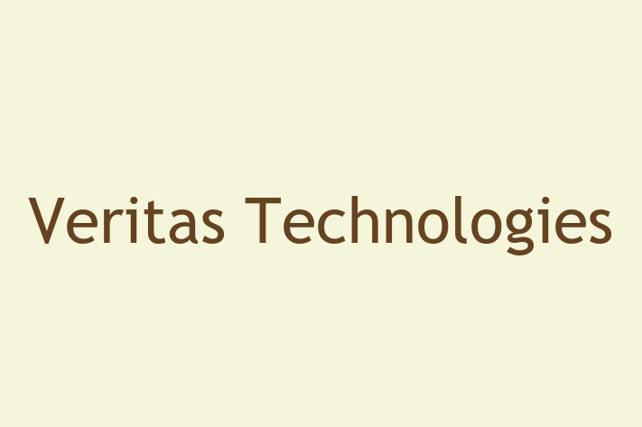 Technology Solutions Firm Veritas Technologies