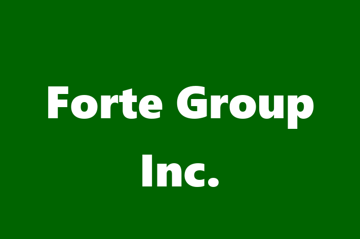 Technology Solutions Firm Forte Group Inc.