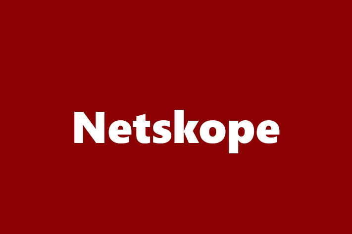 Software Engineering Company Netskope