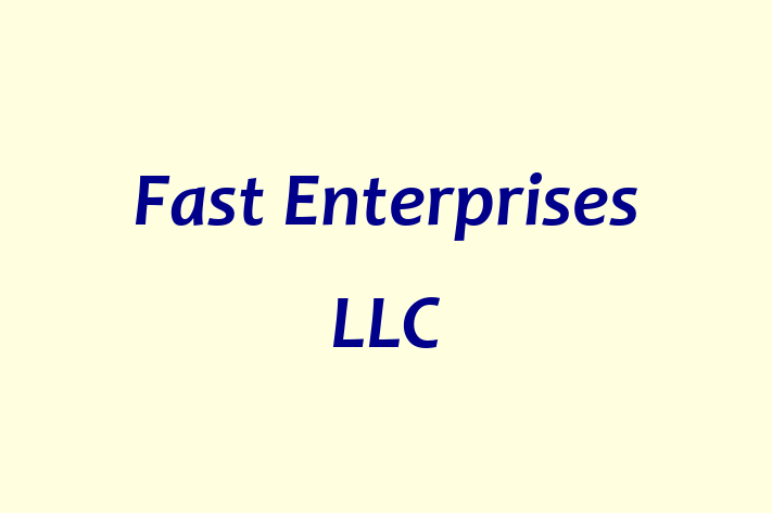 Software Consultancy Fast Enterprises LLC