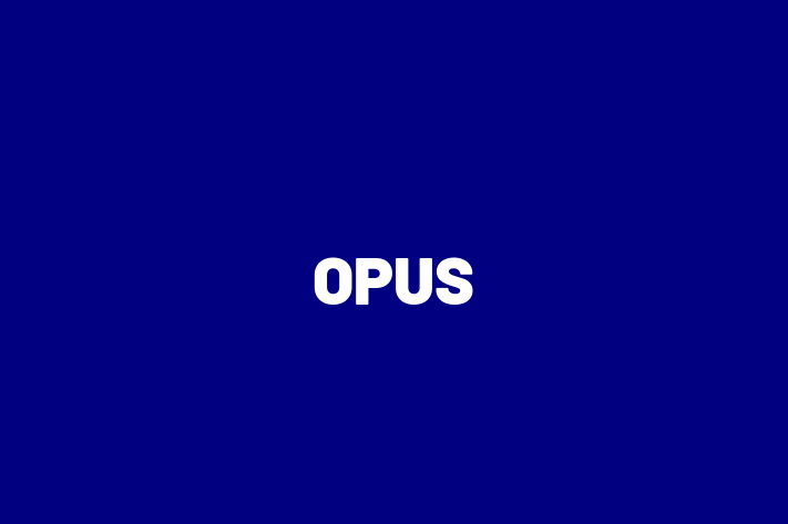 Digital Solutions Provider OPUS