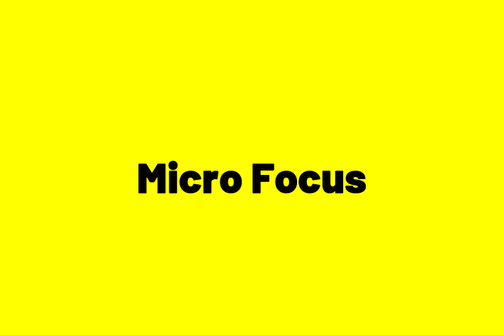 Software Consultancy Micro Focus