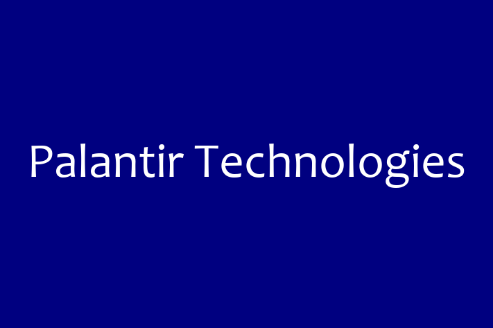 Software Development Firm Palantir Technologies