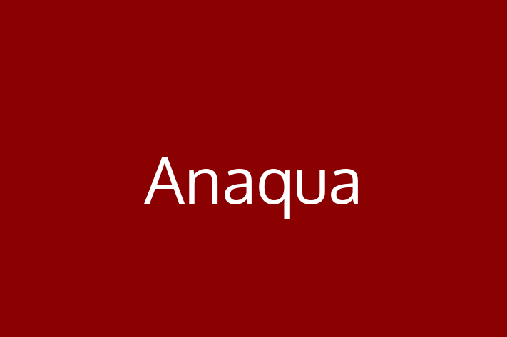 Digital Solutions Provider Anaqua