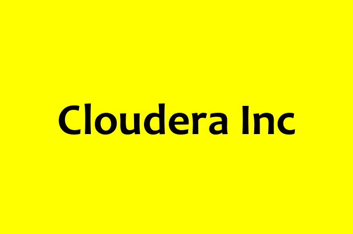 Technology Solutions Firm Cloudera Inc