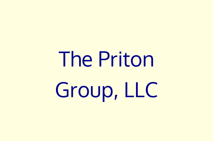 Software Services Company The Priton Group LLC