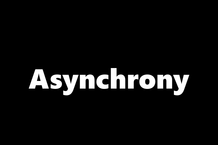 Software Development Company Asynchrony