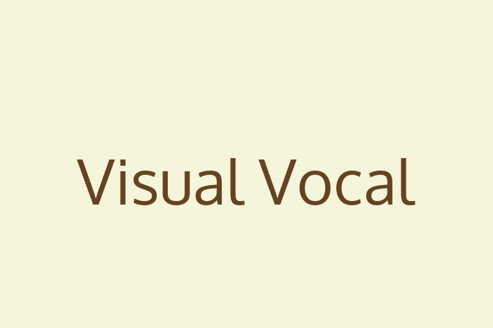 IT Company Visual Vocal