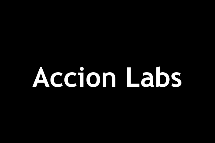 Software Services Company Accion Labs