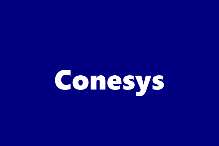 People Management Conesys