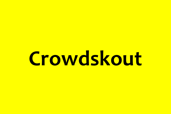 Software Engineering Company Crowdskout