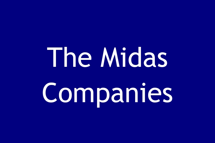 Software Firm The Midas Companies