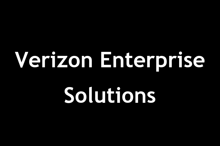 Software Services Company Verizon Enterprise Solutions