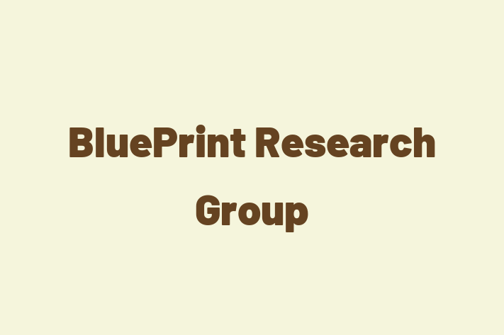 Software Development Firm BluePrint Research Group