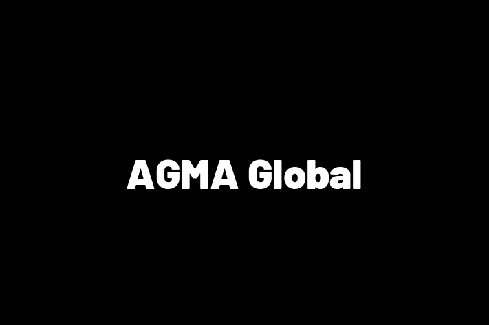 Software Engineering Company AGMA Global