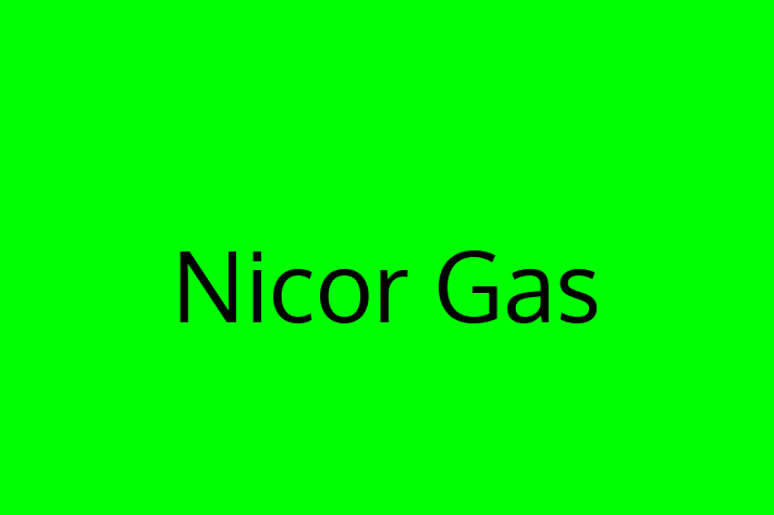 Software Solutions Provider Nicor Gas