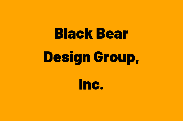 Application Development Company Black Bear Design Group Inc.