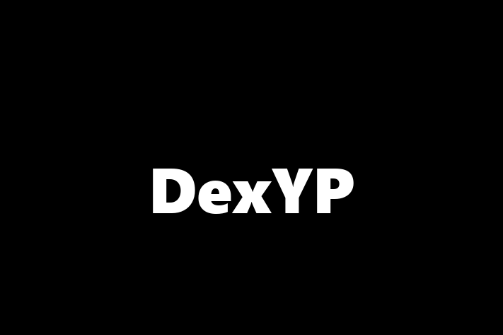 Software Consultancy DexYP