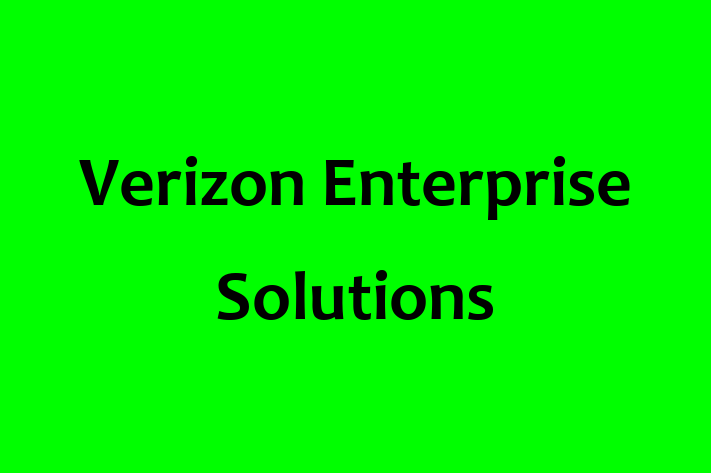 Digital Solutions Provider Verizon Enterprise Solutions