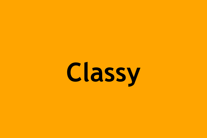 Software Solutions Provider Classy