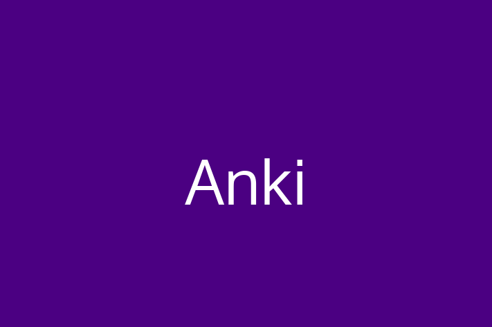 Software Solutions Provider Anki